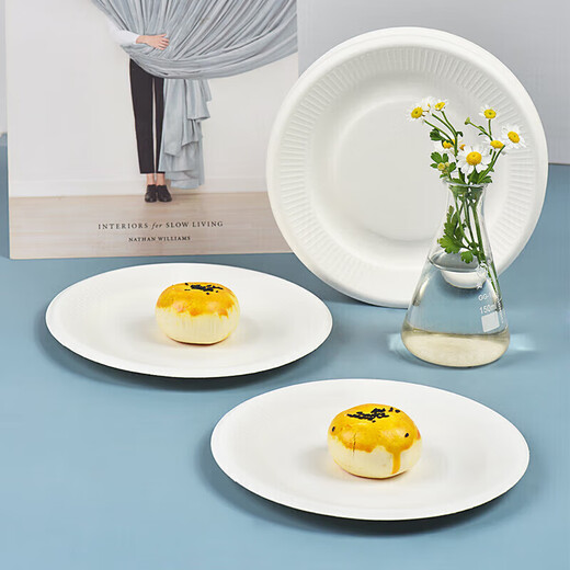 Temeiju disposable plate large cake plate saucer barbecue picnic plate sugarcane paper plate dessert fruit plate 21cm 50 pieces