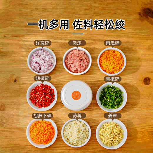 TYZAYR Japanese cordless electric garlic masher, garlic masher, ginger garlic masher, small grinder, garlic cutter, minced meat, simple upgraded model, upgraded Type-C interface 150ml