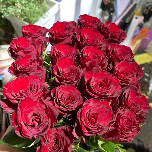 Jingdong Flowers Red Rose Boutique Soilless Culture New Year's Eve Flowers Valentine's Day Red Roses 10 Pack 45CM+ Straight from the Source
