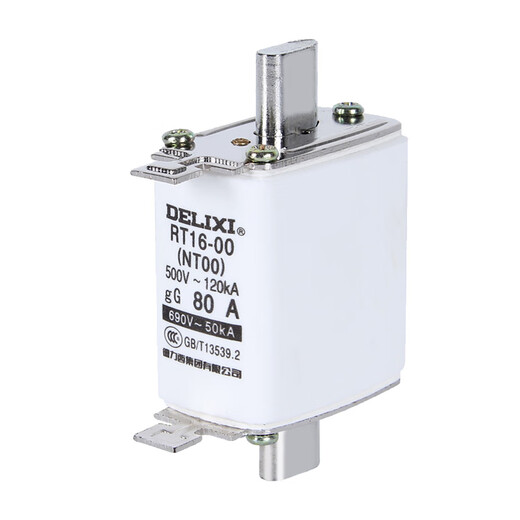 Delixi RT16-00 NT00 32A40A50A63A100A125A160A ceramic fuse 100A