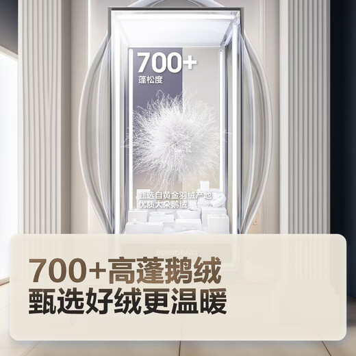 BOSIDENG Winter Down Jacket Goose Down Men's Mid-Length Hooded New National Standard 90 Down Shopping Mall Same Style Jacket Recommended by the Manager Zuimenglan 5419 L 180/100A