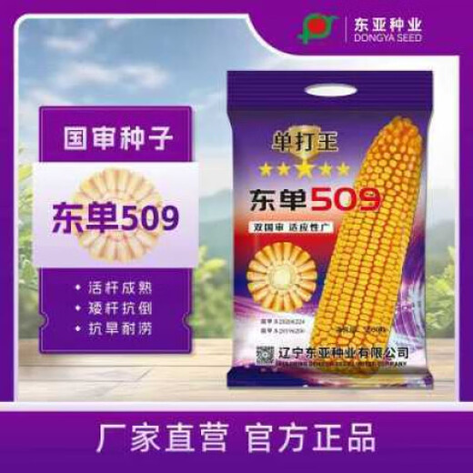 East Asia Seed Industry Singles Wang Dongdan 509 Corn Seeds 2026 Spot Direct Harvest East Asia Seed Industry Fuyou Singles Wang Dongdan 509 Corn Seeds 2026