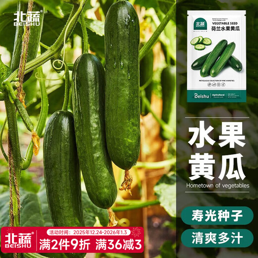 Beishu Cantaloupe Seeds Collection, Croissant Honey, Rock Sugar, Beishu Dutch Fruit Cucumber Seeds 30 capsules