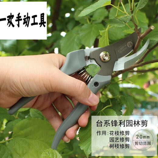 Fukuoka tools garden shears, fruit tree pruning shears, gardening shears, labor-saving scissors FO4313 FO-4313