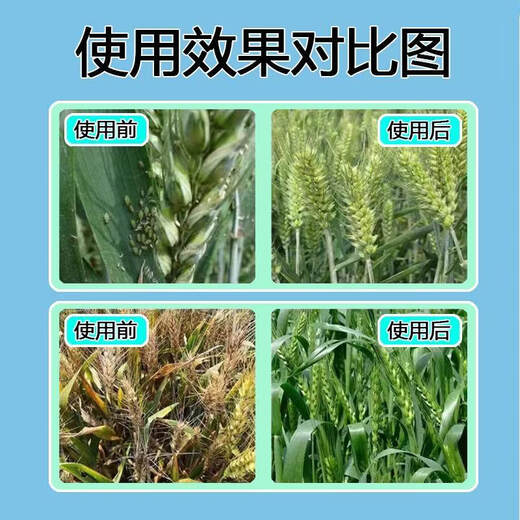 Wheat package, one spray, three preventions, wheat production increase, disease prevention, antibacterial, insecticide, anti-falling, strong seedlings, increase production package, six-in-one (1 mu package)