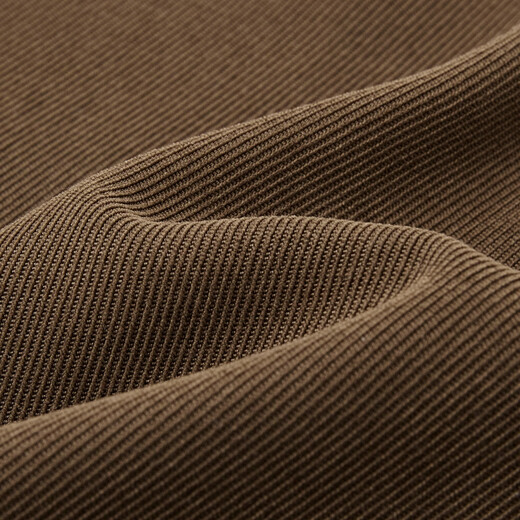 Demana Cheese Brushed Winter Warm Slim Shirt Commuting Stand Collar Lace Decoration Puff Sleeve Shirt Women's Top