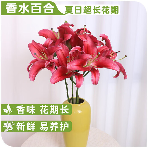 AB-grade high-quality perfume lily flowers hydroponic flower arrangement family life water-raised fresh-cut roses from Yunnan straight hair high-quality AB-grade random color large buds 6 lilies + preservative