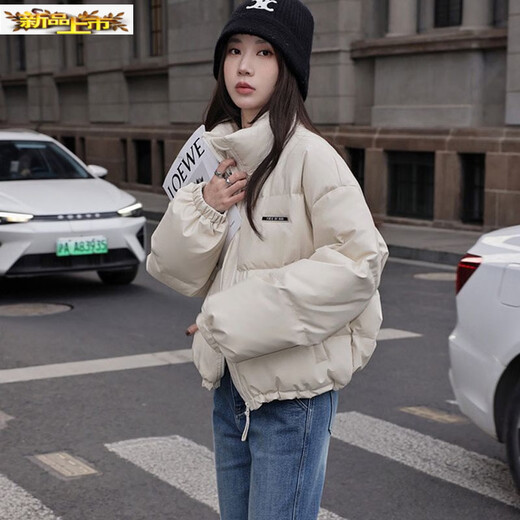 Chujing PU Leather Jacket Women's Short Autumn and Winter New Stand Collar Korean Style Down Jacket Loose Versatile Warm Jacket White Duck Down Beige (PU Version) M