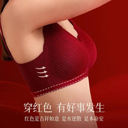 Fenton zodiac year underwear set for women with small breasts showing big push-up red underwear wedding bridal bra 2026 Year of the Horse Good things come in pairs 2 pack 3 XL (80/36ABC)