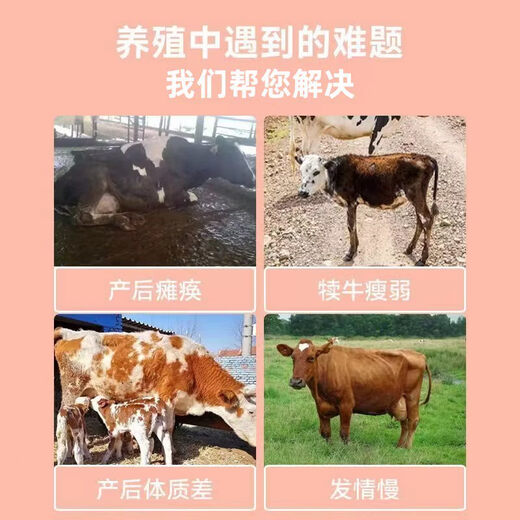 4% cow premix is nutritious, special feed for pregnant and lactating cows to promote rumination, 1 bag, 40Jin, equal to 0.5kg, genuine