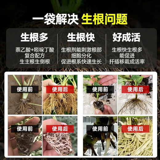 5% indole butyric acid, naphthalene acetic acid, general flower seedling cuttings, rapid rooting liquid, rooting and seedling strengthening agent 50g bag, explosive rooting liquid 5 bags