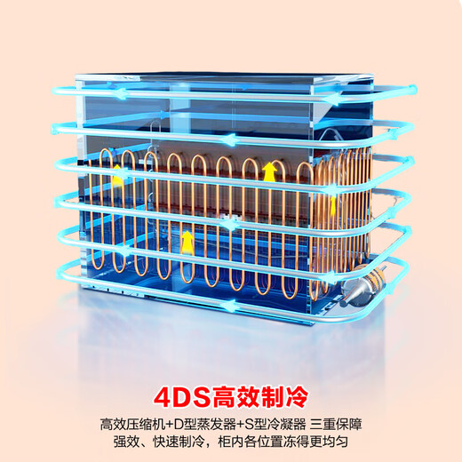 Rongsheng Hisense Microfrost 100L single-temperature household freezer PCM antibacterial liner deep-freeze fresh-keeping First-class energy efficiency energy-saving freezer BD/BC-100E10HNLAJ Trade-in subsidy BD/BC-100E10HNLAJ 100L