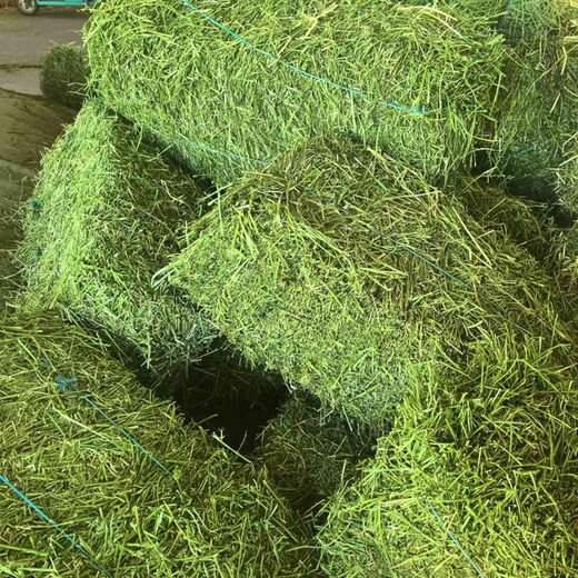 Alfalfa hay for cattle, sheep and horses, sheep grass, alpaca large zoo feed, alfalfa 20kg