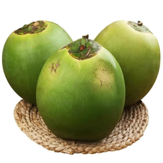 Hainan Wenchang Green Coconut with Skin Freshly Picked Coconut Juice Seasonal Fruit Coconut - Wancheng 4 pieces Hainan Green Coconut with Skin (Authentic Origin)