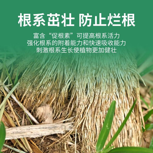 Bamboo nutrient solution hydroponic asparagus rich bamboo red Guanyin Nantian bamboo plant bamboo special A bamboo nutrient solution 300ml*3 bottles