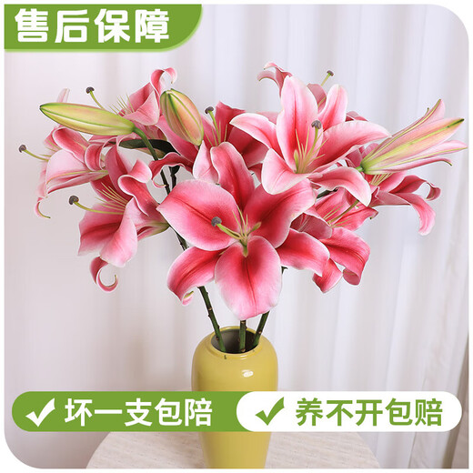 AB-grade high-quality perfume lily flowers hydroponic flower arrangement family life water-raised fresh-cut roses from Yunnan straight hair high-quality AB-grade random color large buds 6 lilies + preservative