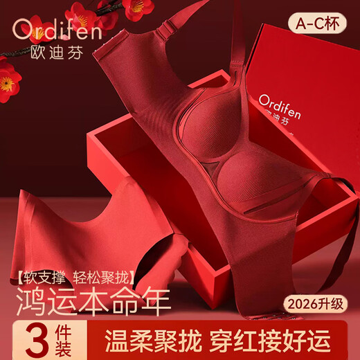 Ordifen 2026 New Year of the Horse New Year of the Zodiac Bra Set Gathered Wedding Gift Box Underwear Underwear Socks Ankora Red