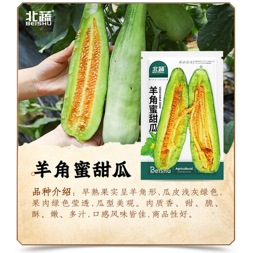 Beishu Melon Seeds Emerald Rock Sugar Seeds Croissant Honey White Sand Honey Spring Cantaloupe Seeds Beishu Croissant Honey Melon Seeds 200 capsules