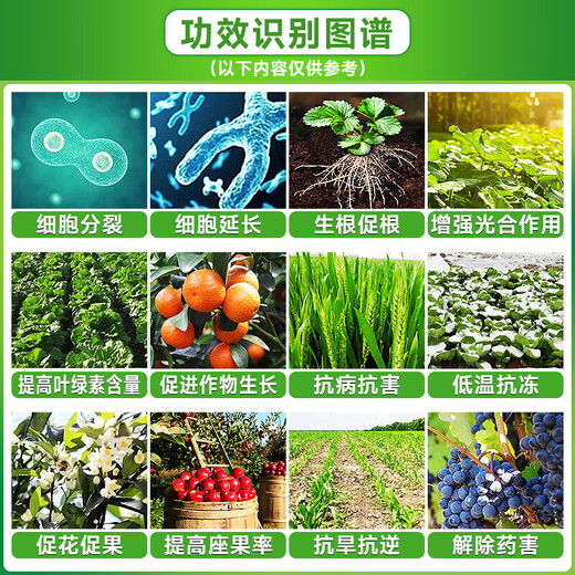 28 epibrassinolide regulates growth, preserves flowers, preserves fruits, roots, and strengthens seedlings. Universal foliar fertilizer brassinolide 500ml