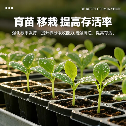 5% indole butyric acid, naphthalene acetic acid, general flower seedling cuttings, rapid rooting liquid, rooting and seedling strengthening agent 50g bag, explosive rooting liquid 5 bags