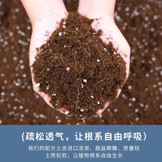 Captain's Garden Nutrient Soil for flower cultivation, special universal household vegetable and flower succulent plant potted peat flower soil, large bag is more affordable, 50L planting substrate
