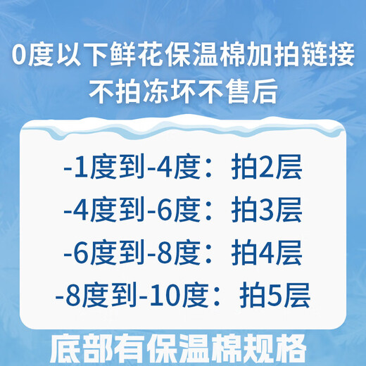 AB-grade high-quality perfume lily flowers hydroponic flower arrangement family life water-raised fresh-cut roses from Yunnan straight hair high-quality AB-grade random color large buds 6 lilies + preservative