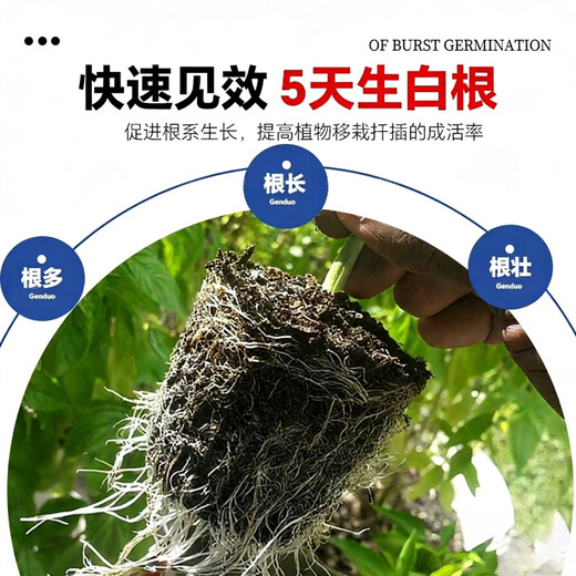 5% indole butyric acid, naphthalene acetic acid, general flower seedling cuttings, rapid rooting liquid, rooting and seedling strengthening agent 50g bag, explosive rooting liquid 5 bags