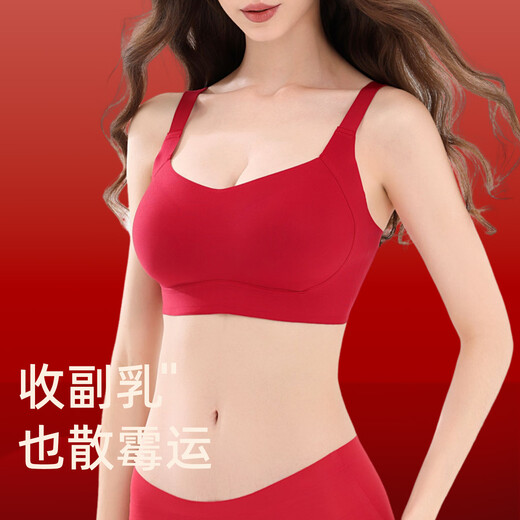 Miss Polly's large size zodiac year underwear set, women's underwear clothes, 2026 year of the horse, gift for mom and bestie, underwear + socks + scarf + red rope + SF high-end gift box 2XL female 95B-H universal