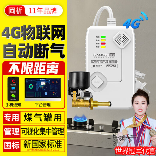 GANGQI 4G network remote notification 3C certification new national standard gas alarm liquefied petroleum gas alarm flammable liquefied petroleum gas leakage induction detection linkage manipulator gas leakage automatic gas shutoff