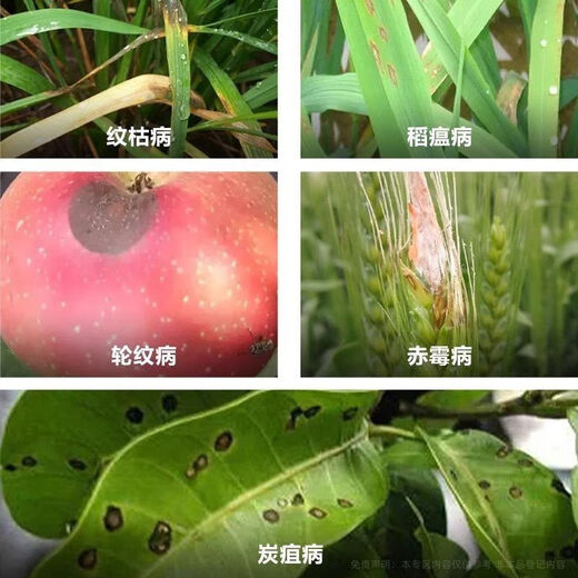 50% thiophanate methyl fungicide for rice blast, fruit trees and vegetables, anthracnose, black spot fungicide, 1000g/12 bottles