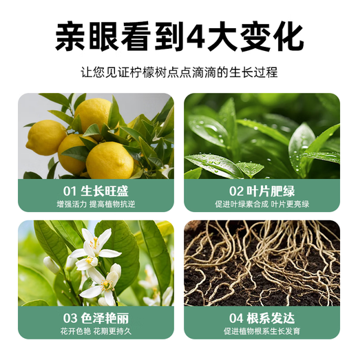 Jinyate lemon tree special fertilizer nitrogen, phosphorus and potassium ternary compound fertilizer to prevent yellow leaves household green plant potted slow-release fertilizer 550g