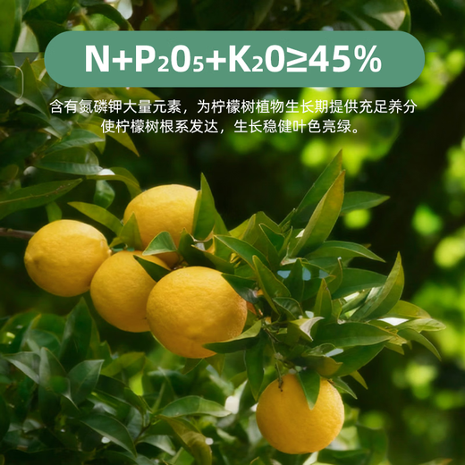 Jinyate lemon tree special fertilizer nitrogen, phosphorus and potassium ternary compound fertilizer to prevent yellow leaves household green plant potted slow-release fertilizer 550g