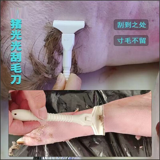 Pig Guangguang pig hair scraper, lard scraper, wool scraper, pig trotter scraper, oil removal artifact, sharp and long-lasting, thickened and high quality, 1 small + 1 large knife holder + 20 blades