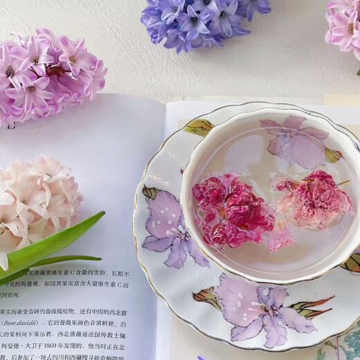 Jingdong Flowers Hyacinth imported from the Netherlands 1/single color vase with buds indoor potted hydroponic green plants flowers straight from the source