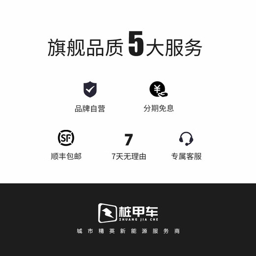 Pile A car AC and DC charging pile outdoor column aluminum alloy dustproof and waterproof fixed bracket suitable for Tesla ideal Xpeng BYD NIO Geely BMW Mercedes-Benz Audi Small column comes with a free ordinary hook