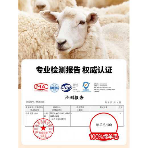 Hengyuanxiang Winter Lamb Wool Scarf Gift Box Men's Warm Scarf Thickened for Boyfriend and Dad Birthday Gift Camel