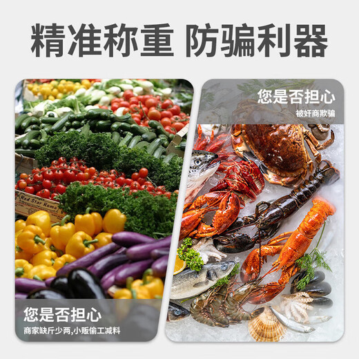 JCZS German brand high-precision portable electronic scale household spring small portable mini fish weighing device small in hand smart portable scale 50kg