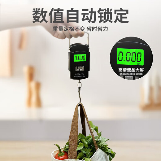 JCZS German brand high-precision portable electronic scale household spring small portable mini fish weighing device small in hand smart portable scale 50kg