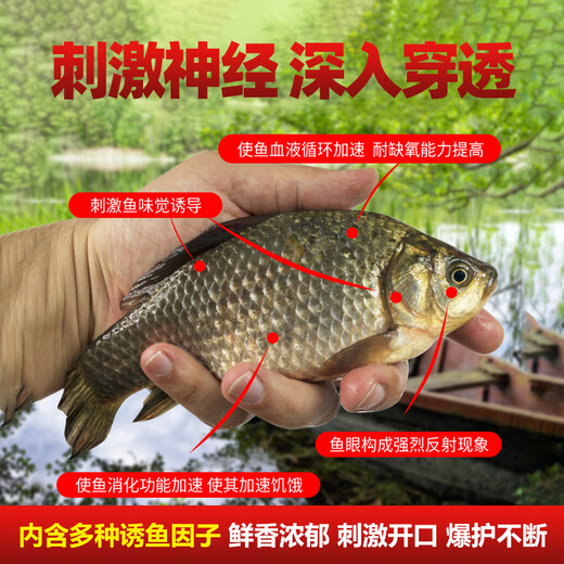 Sichuanji Crucian Carp Xiaoyao Wild Fishing Black Pit Bait Mainly Focuses on Fishing Bait Complete Collection of Fish Attractants Special Additives for Fishing Bait Sichuanji - Crucian Carp 100ml (Specializes on Crucian Carp, Highly Concentrated)