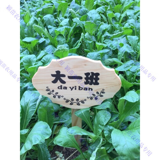 定制木牌子公园菜园菜地木质草地种植区指示牌立式插地牌爱护花草 9款30*40CM