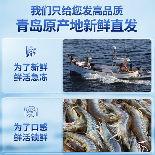 Bai Xian Qia Salted Frozen Prawns Live Frozen Basic Shrimps White Prawns Fresh Prawns Sea Shrimps Seafood Aquatic Products Late Night BBQ Hot Pot Ingredients Salt Frozen Large Prawns 60-75 pieces/box 3Jin Jin is equal to 0.5kg (net weight)