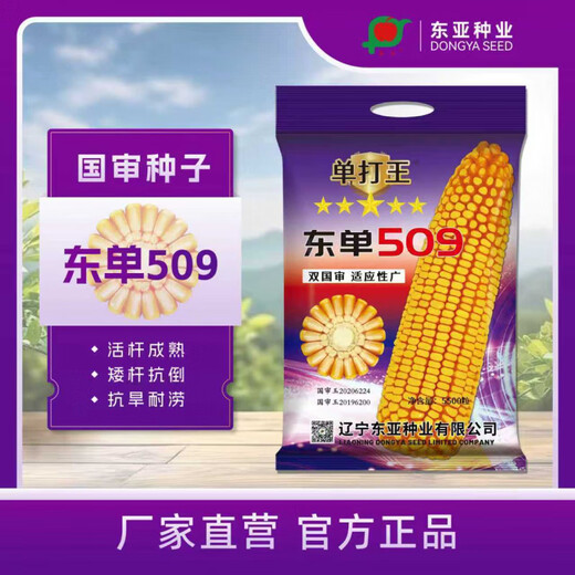 East Asia Seed Industry Singles Wang Dongdan 509 Corn Seeds 2026 Spot Direct Harvest East Asia Seed Industry Fuyou Singles Wang Dongdan 509 Corn Seeds 2026