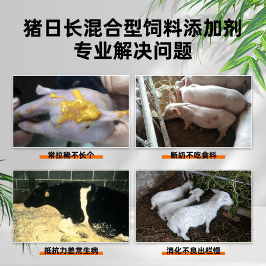 Pig day long pig fattening and fattening pig feed additive piglet piglet fattening agent pig premix, buy 10 bags and get 2 bags, real hair 12 bags