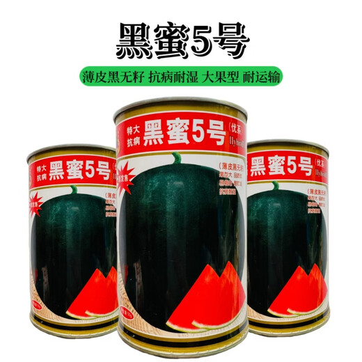 Chunzhiyun Heiba No. 1 black skin red flesh seedless watermelon seedless seeds super sweet thin skin high yield watermelon base for field use Black Honey No. 5 black skin red flesh seedless watermelon 700 capsules