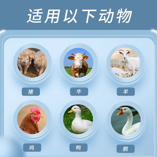 OIMG Mixed Feed Additive Vitamin B12 Powder for Veterinary Cats, Dogs, Cattle, Sheep, Pigs, Young Livestock Anemia and Growth Retardation 1 Bag Price