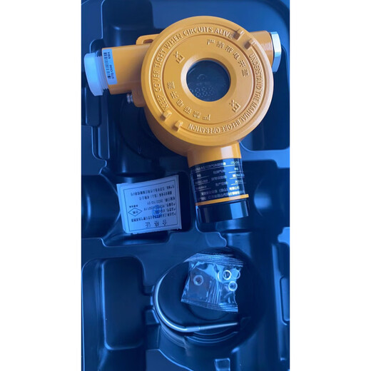 Shanghai Yijie combustible gas detector original factory in stock remote control single purchase D610 hydrogen sulfide