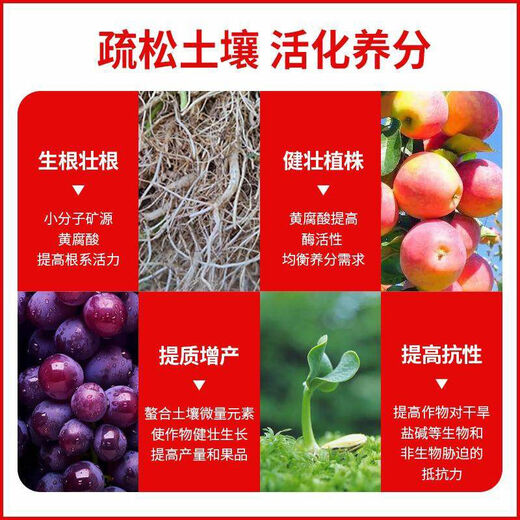 Gold mine source potassium fulvic acid humic acid water-soluble fertilizer rooting bucket fertilizer agricultural fruit leaf surface fertilizer 6kg mine source potassium fulvic acid 10 barrels