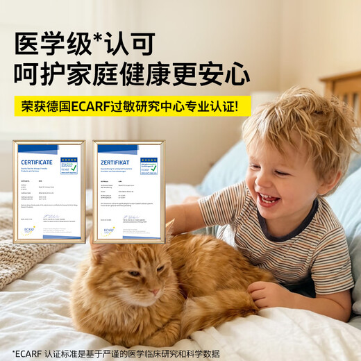 KARCHER original imported multifunctional household fabric sofa cleaning machine, spray and suction integrated cleaning machine for carpets, curtains and mattresses SE 3 COMPACT standard version + shoe washing attachment