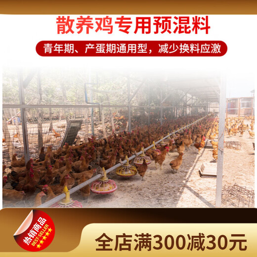 Compound premix for Jinpaichao national animal-preserved chickens, free-range chickens and laying hens, multi-dimensional amino acids and trace elements, better combination of self-ingredients (for youth use)