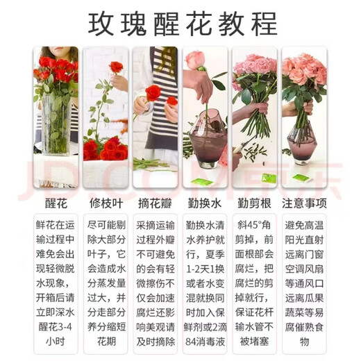 Jingdong Flowers Boutique Soilless Cultivation Roses in Random Colors 10 Pack New Year's Eve and New Year's Day New Year's Eve Gifts 45-50CM Straight from the Source